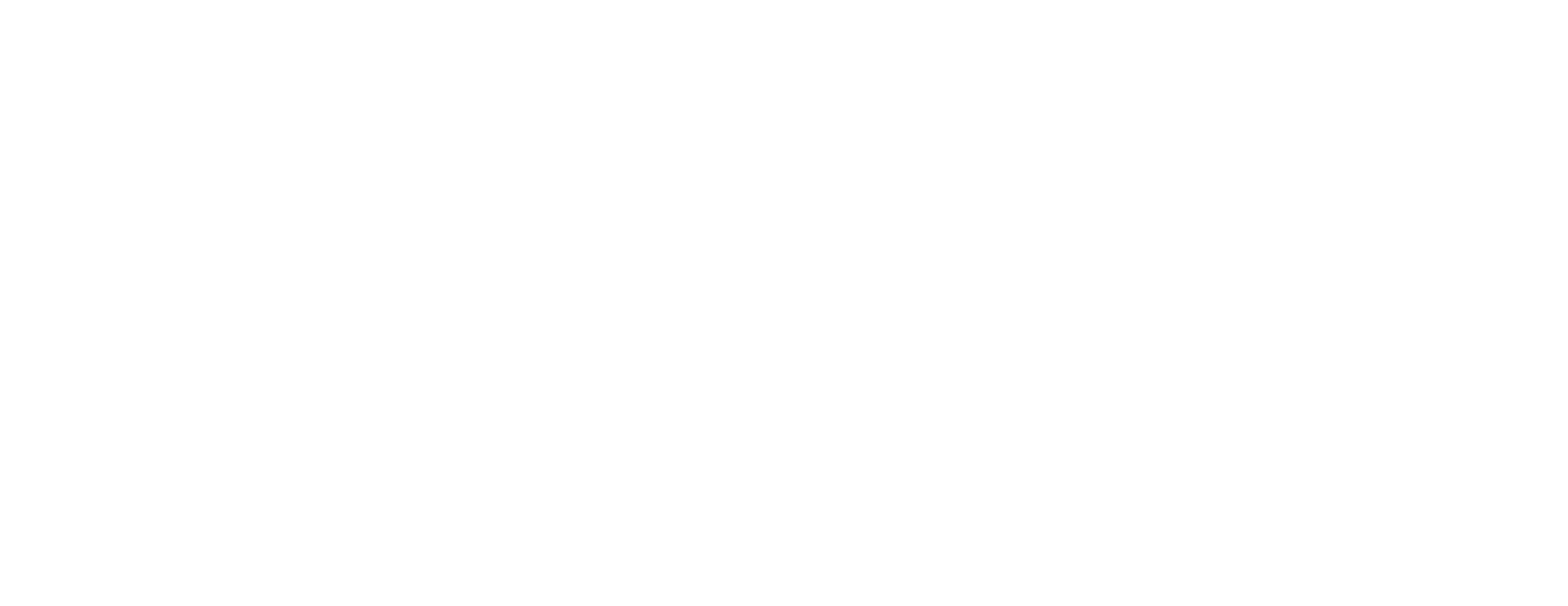 NAHSE - Florida Chapter